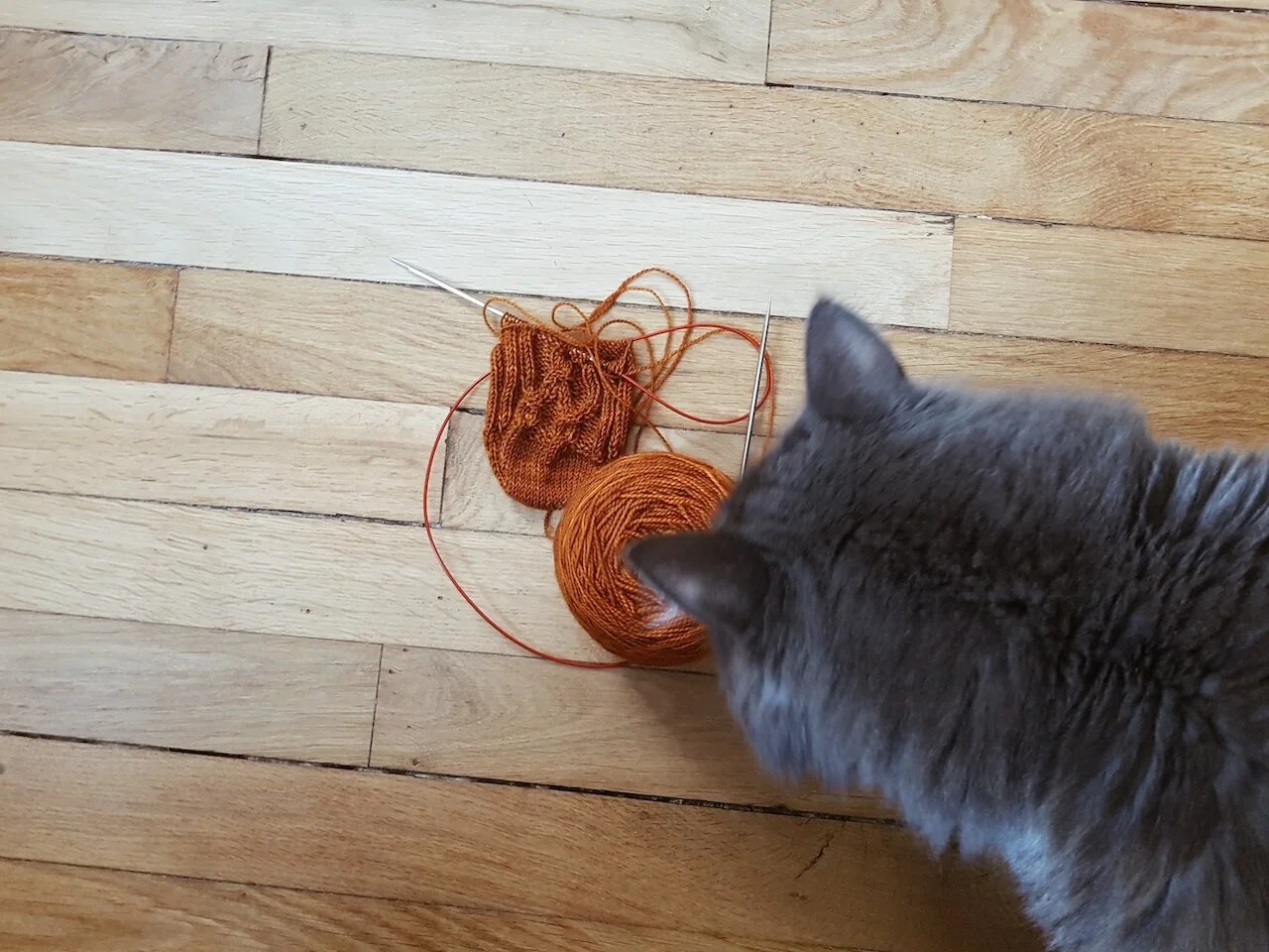  J’utilise le patron des Chaussettes du 22 décembre que je tricote cette fois dans ma taille 