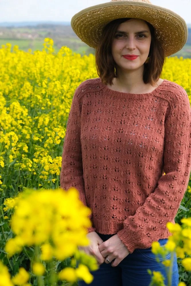  Patron de tricot pull Bachir 