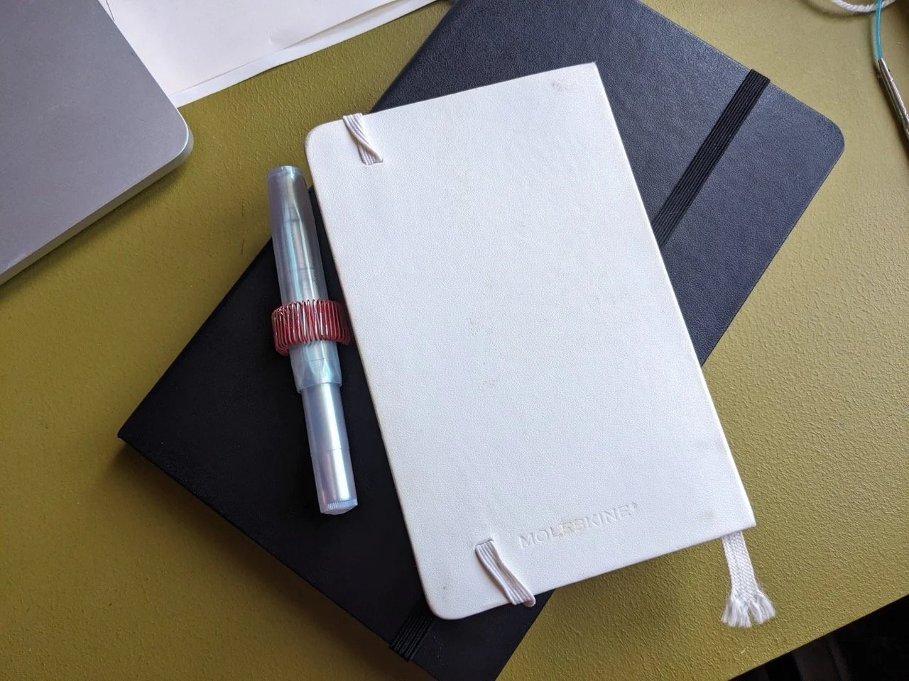   Grand Momo et Petit Momo les derniers de la grande dynastie de mes Momos. C’est une très mauvaise idée de choisir un carnet blanc comme carnet de sac à main mais ça fait 8 ans que je rachète ce modèle une à deux fois par an.  