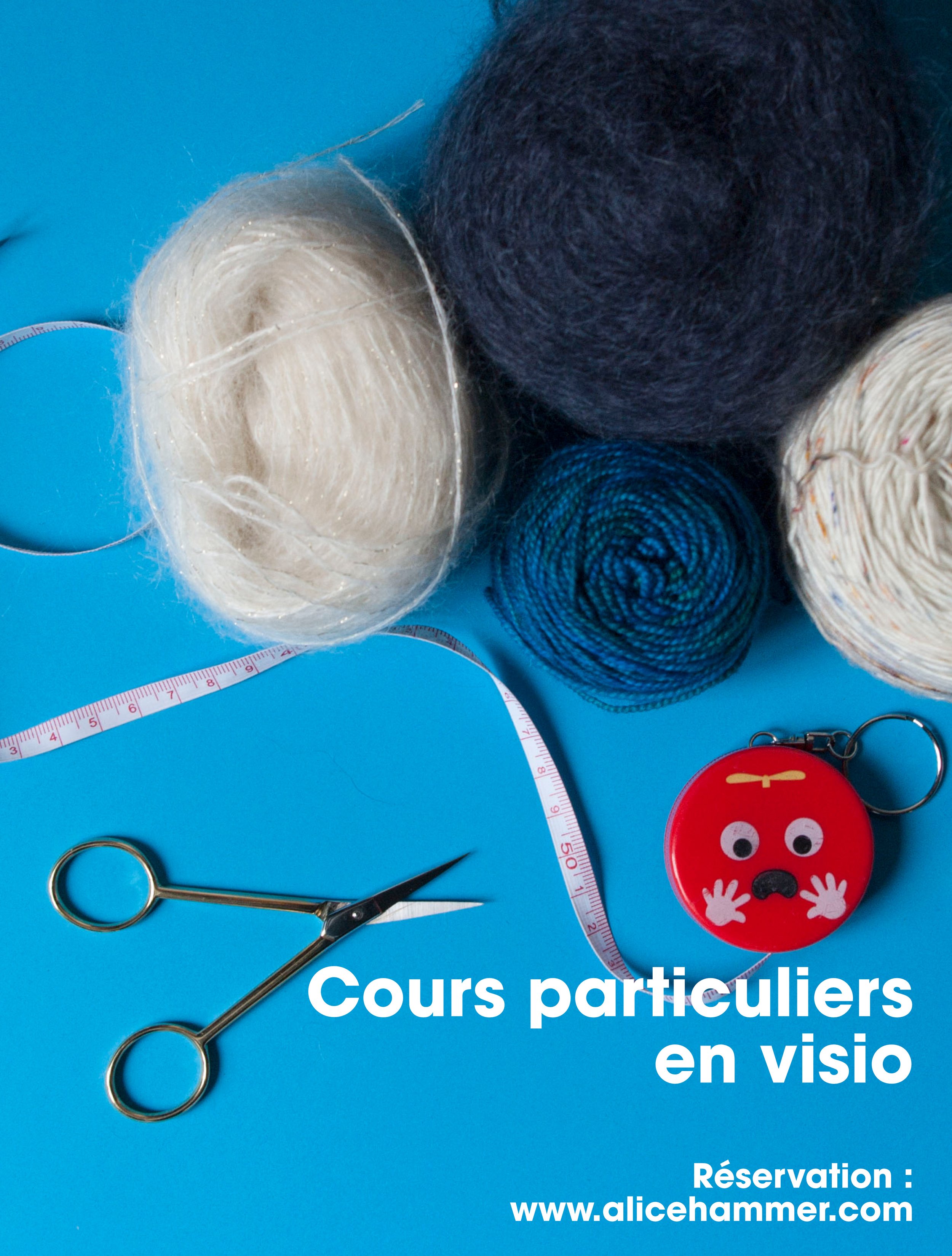Cours particuliers en visio