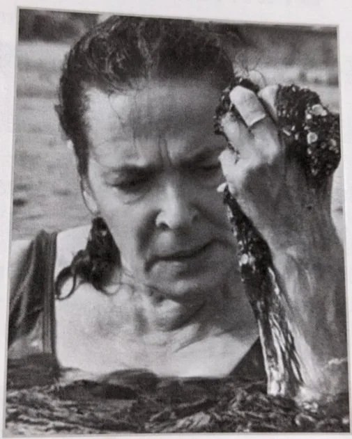 Jeu du samedi 02&nbsp;décembre