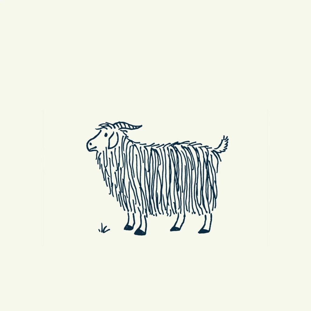 Nouveauté : l&rsquo;abonnement pour plus de tricot&nbsp;!