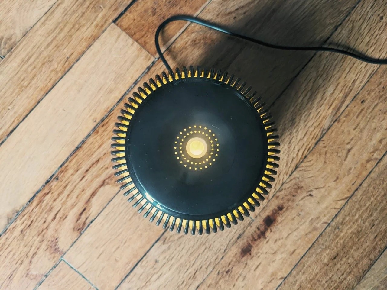   Je m’enfume comme un saumon pour échapper aux microbes  