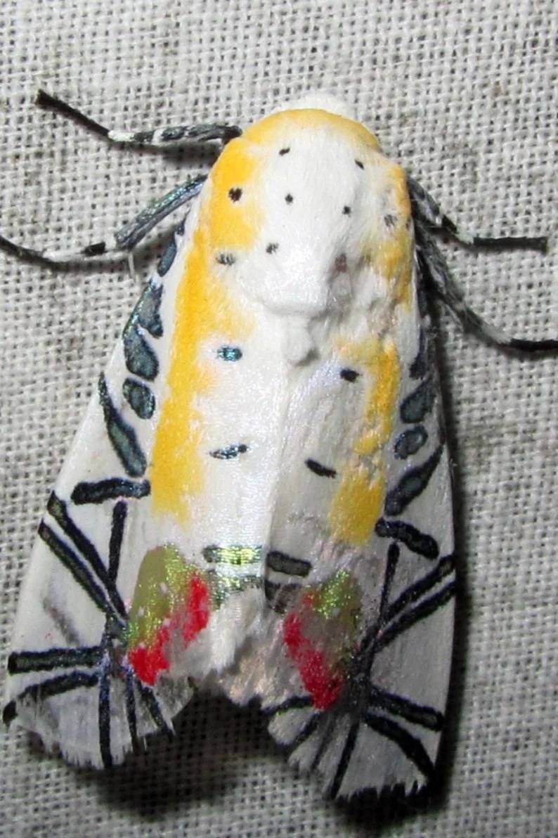 Jeu du samedi 18&nbsp;novembre