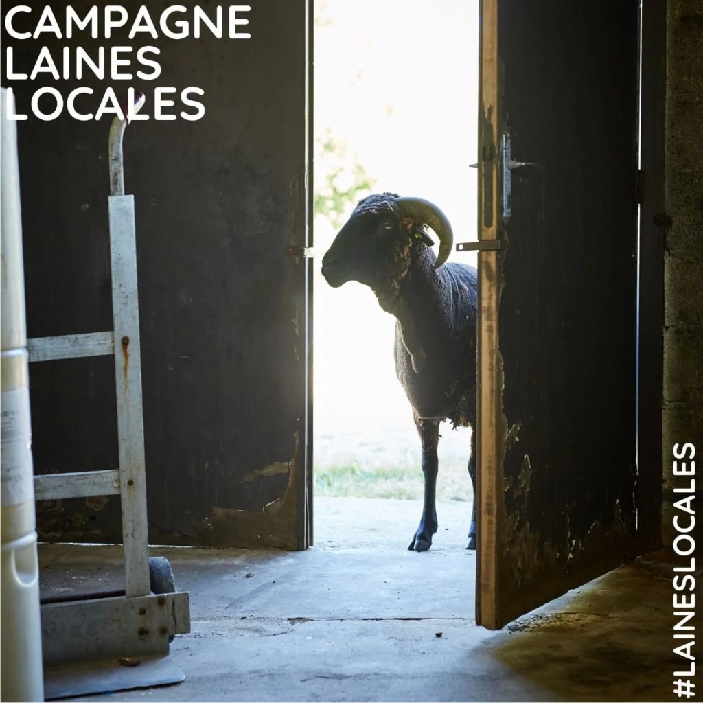 Toutes les videos de la campagne Laines locales organisée par Laines&nbsp;Paysannes