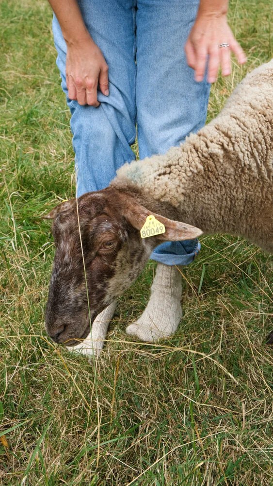 Partons dans les Ardennes avec les chaussettes Bergerie&nbsp;!
