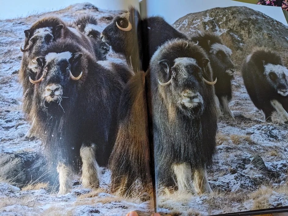 Jeu du samedi 23&nbsp;décembre