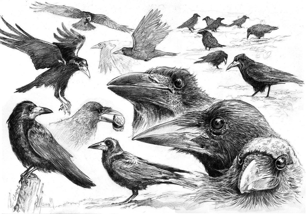 Cette semaine j&rsquo;ai lu, vu,&nbsp;entendu…