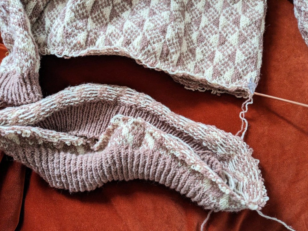 Les aventures de mon pull&nbsp;Biscuit